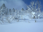 snowscene003_m.jpg