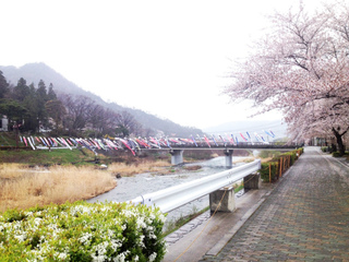 koinobori2015.jpg